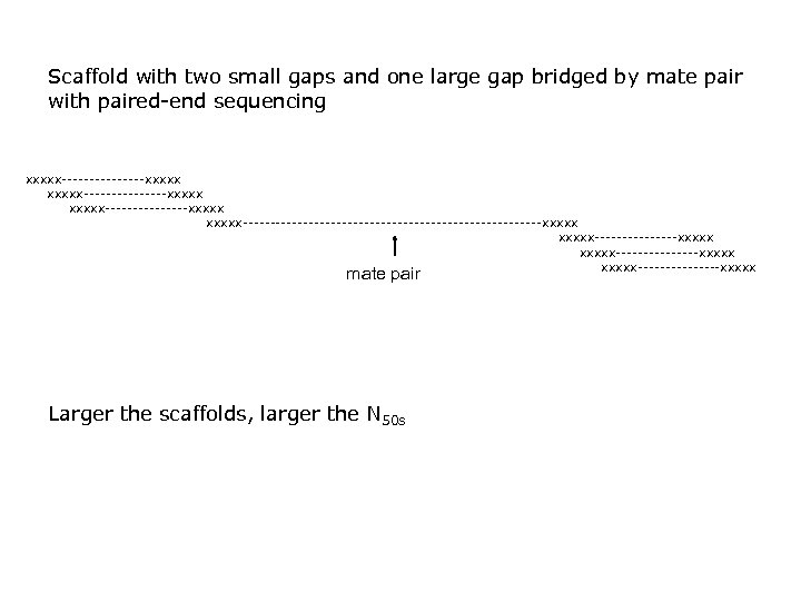 Scaffold with two small gaps and one large gap bridged by mate pair with