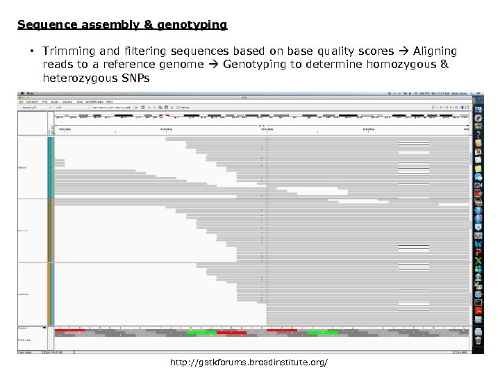 Sequence assembly & genotyping • Trimming and filtering sequences based on base quality scores