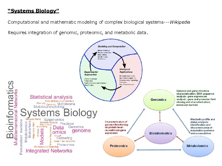 “Systems Biology” Computational and mathematic modeling of complex biological systems---Wikipedia Requires integration of genomic,