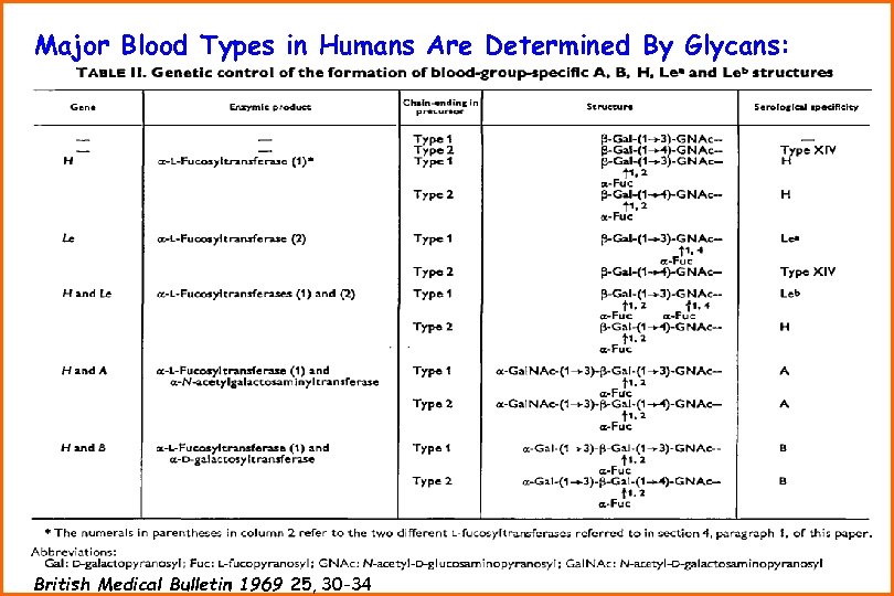 Major Blood Types in Humans Are Determined By Glycans: British Medical Bulletin 1969 25,