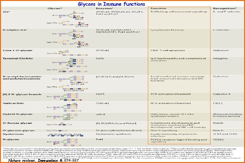 Glycans in Immune Functions Nature reviews. Immunology 8, 874 -887 