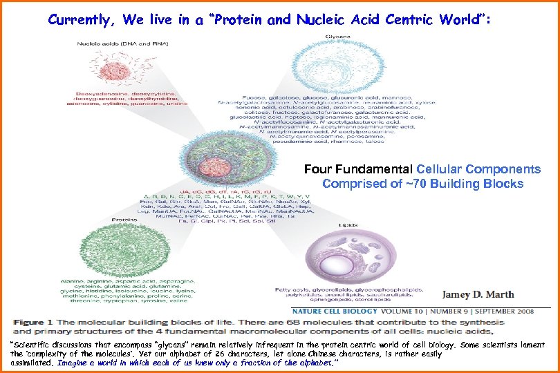 Currently, We live in a “Protein and Nucleic Acid Centric World”: Four Fundamental Cellular