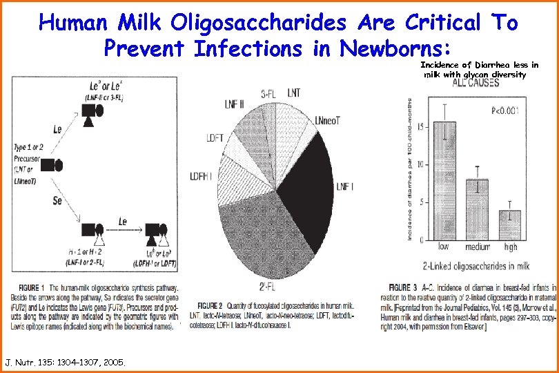 Human Milk Oligosaccharides Are Critical To Prevent Infections in Newborns: Incidence of Diarrhea less