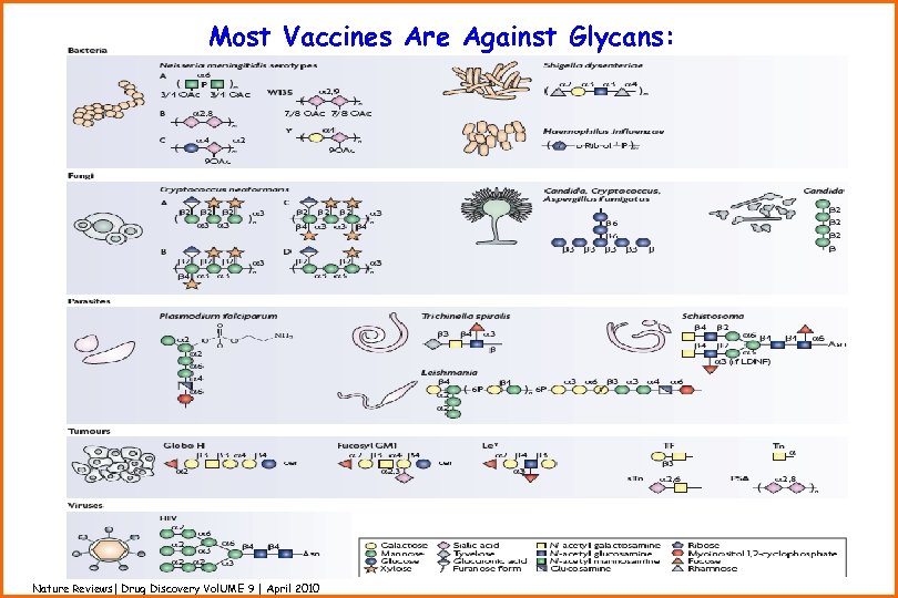 Most Vaccines Are Against Glycans: Nature Reviews| Drug Discovery Vol. UME 9 | April