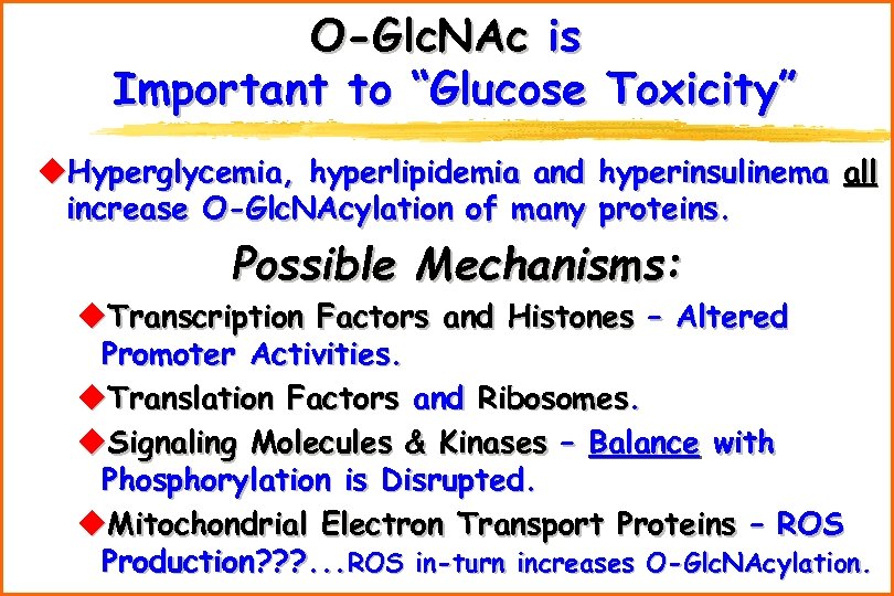 O-Glc. NAc is Important to “Glucose Toxicity” u. Hyperglycemia, hyperlipidemia and hyperinsulinema all increase