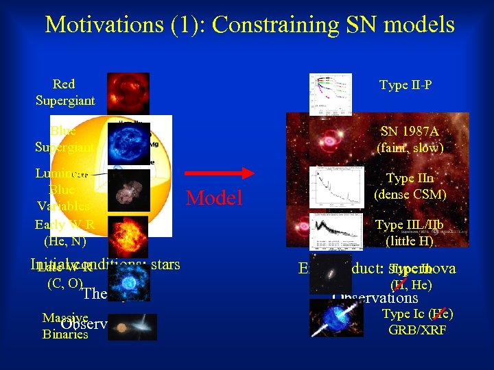 Motivations (1): Constraining SN models Red Supergiant Type II-P Blue Supergiant SN 1987 A