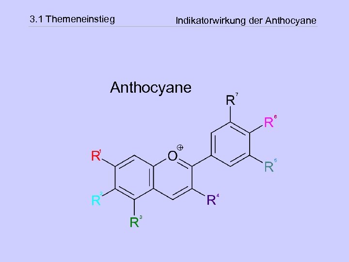 3. 1 Themeneinstieg Indikatorwirkung der Anthocyane 7 6 1 5 2 4 3 