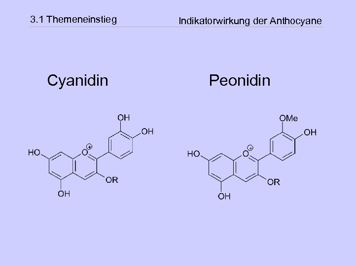 3. 1 Themeneinstieg Cyanidin Indikatorwirkung der Anthocyane Peonidin 