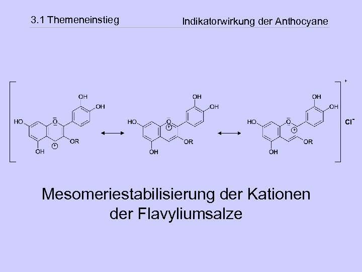 3. 1 Themeneinstieg Indikatorwirkung der Anthocyane + + Cl+ + Mesomeriestabilisierung der Kationen der