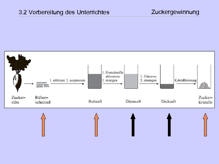 3. 2 Vorbereitung des Unterrichtes Zuckergewinnung 