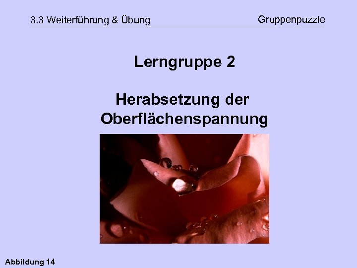 3. 3 Weiterführung & Übung Gruppenpuzzle Lerngruppe 2 Herabsetzung der Oberflächenspannung Abbildung 14 