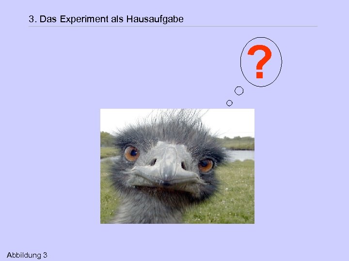 3. Das Experiment als Hausaufgabe ? Abbildung 3 