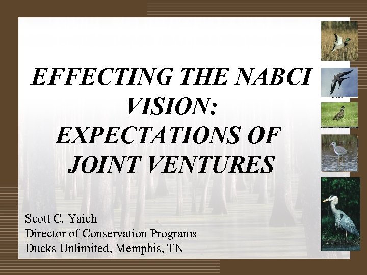 EFFECTING THE NABCI VISION: EXPECTATIONS OF JOINT VENTURES Scott C. Yaich Director of Conservation