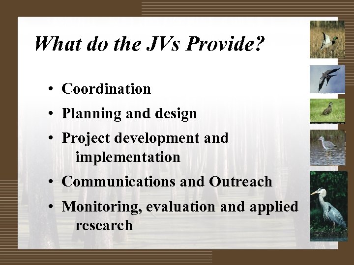 What do the JVs Provide? • Coordination • Planning and design • Project development