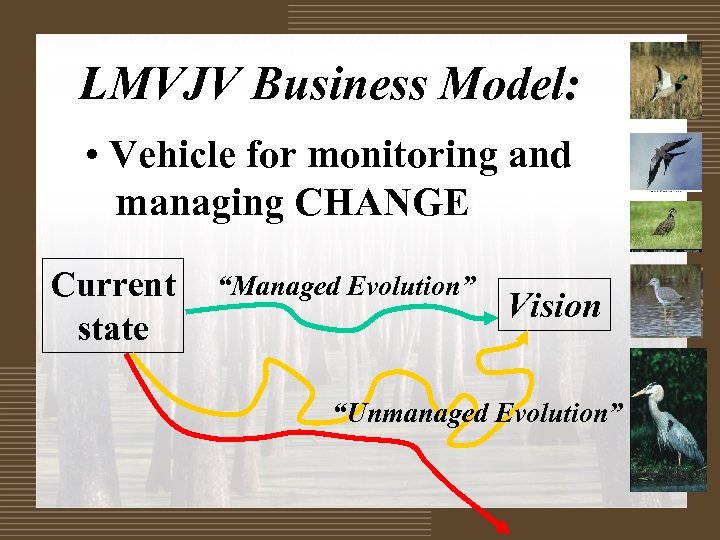 LMVJV Business Model: • Vehicle for monitoring and managing CHANGE Current state “Managed Evolution”