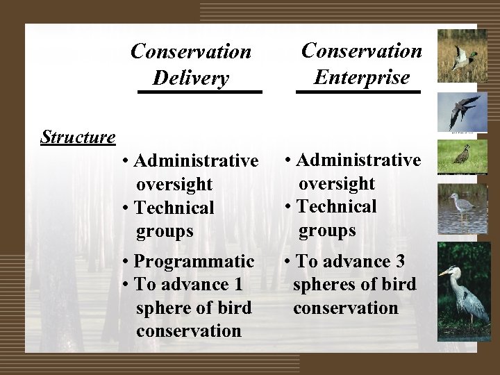 Conservation Delivery Conservation Enterprise Structure • Administrative oversight • Technical groups • Programmatic •