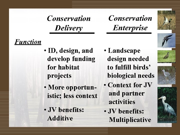 Conservation Delivery Conservation Enterprise Function • ID, design, and develop funding for habitat projects