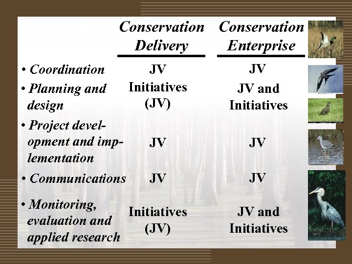 Conservation Delivery Enterprise • Coordination JV Initiatives • Planning and (JV) design • Project