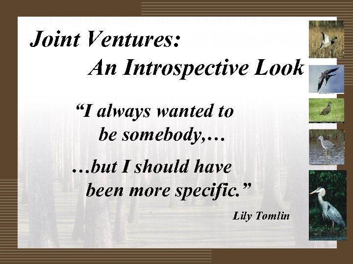 Joint Ventures: An Introspective Look “I always wanted to be somebody, … …but I