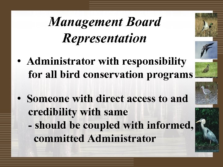 Management Board Representation • Administrator with responsibility for all bird conservation programs • Someone