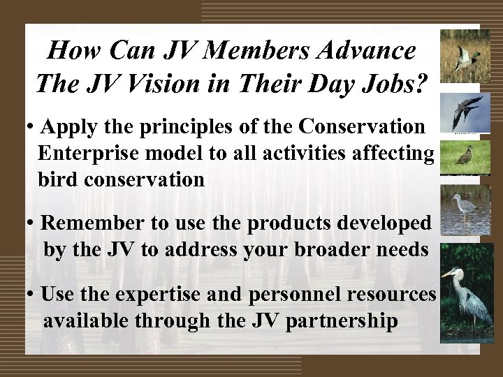 How Can JV Members Advance The JV Vision in Their Day Jobs? • Apply