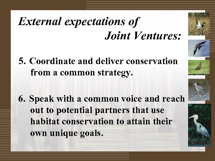 External expectations of Joint Ventures: 5. Coordinate and deliver conservation from a common strategy.