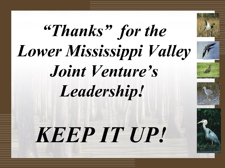 “Thanks” for the Lower Mississippi Valley Joint Venture’s Leadership! KEEP IT UP! 