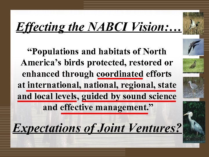 Effecting the NABCI Vision: … “Populations and habitats of North America’s birds protected, restored