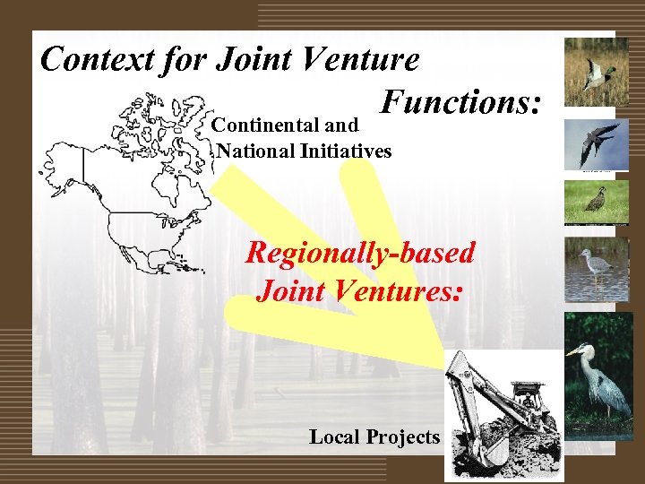 Context for Joint Venture Functions: Continental and National Initiatives Regionally-based Joint Ventures: Local Projects