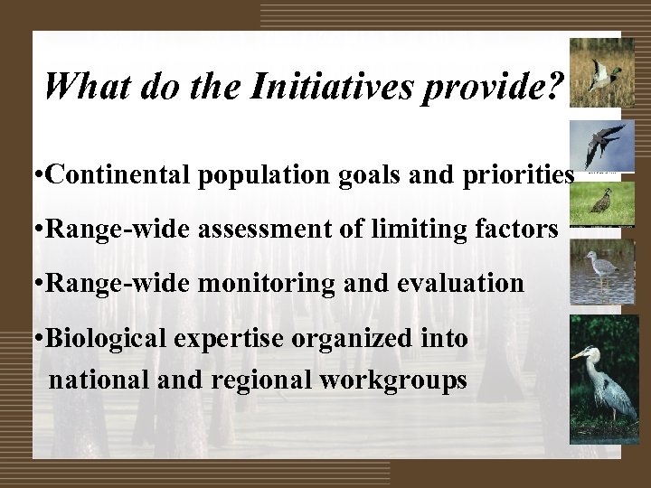What do the Initiatives provide? • Continental population goals and priorities • Range-wide assessment