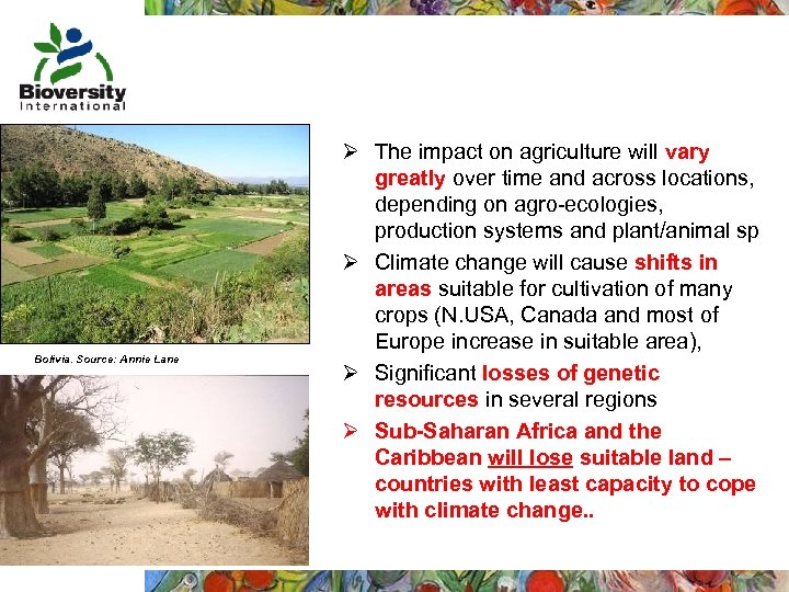 Bolivia. Source: Annie Lane Ø The impact on agriculture will vary greatly over time