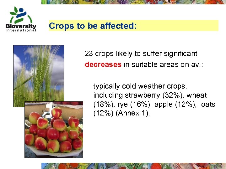 Crops to be affected: 23 crops likely to suffer significant decreases in suitable areas