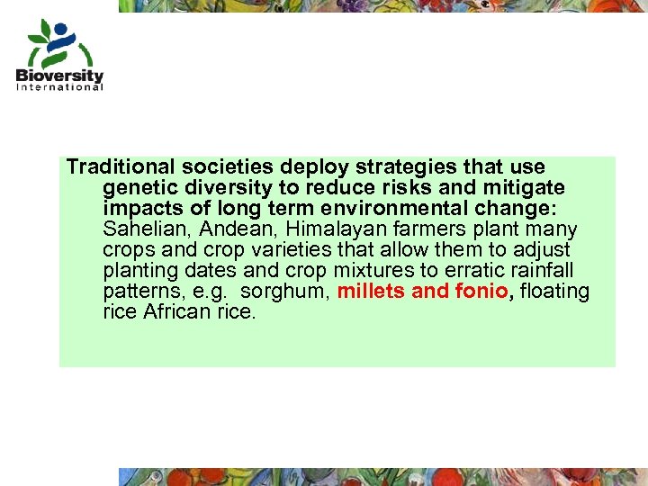 Traditional societies deploy strategies that use genetic diversity to reduce risks and mitigate impacts