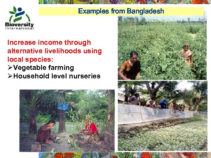 Examples from Bangladesh Increase income through alternative livelihoods using local species: ØVegetable farming ØHousehold
