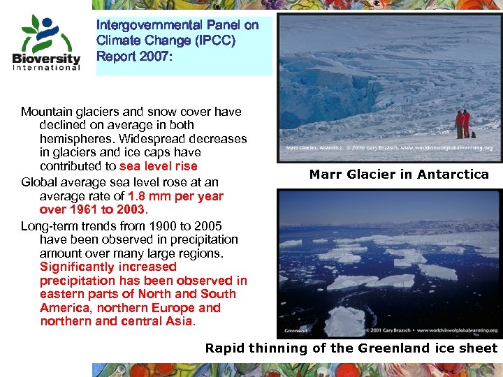 Intergovernmental Panel on Climate Change (IPCC) Report 2007: Mountain glaciers and snow cover have