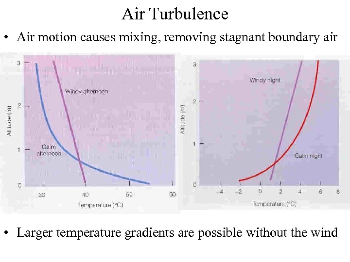 Air Turbulence • Air motion causes mixing, removing stagnant boundary air • Larger temperature