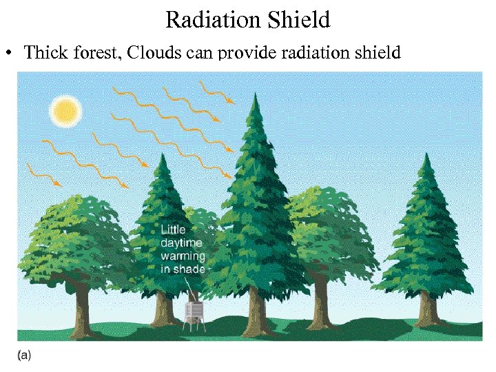 Radiation Shield • Thick forest, Clouds can provide radiation shield 