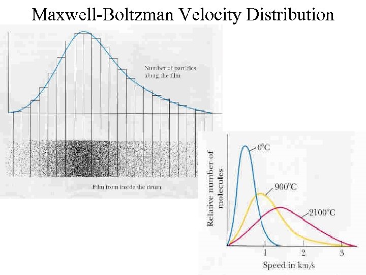 Maxwell-Boltzman Velocity Distribution 
