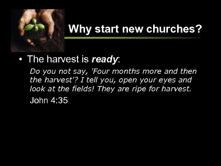 Why start new churches? • The harvest is ready: Do you not say, 'Four