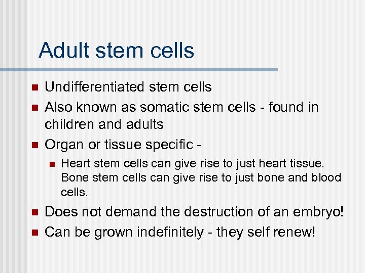 Adult stem cells n n n Undifferentiated stem cells Also known as somatic stem
