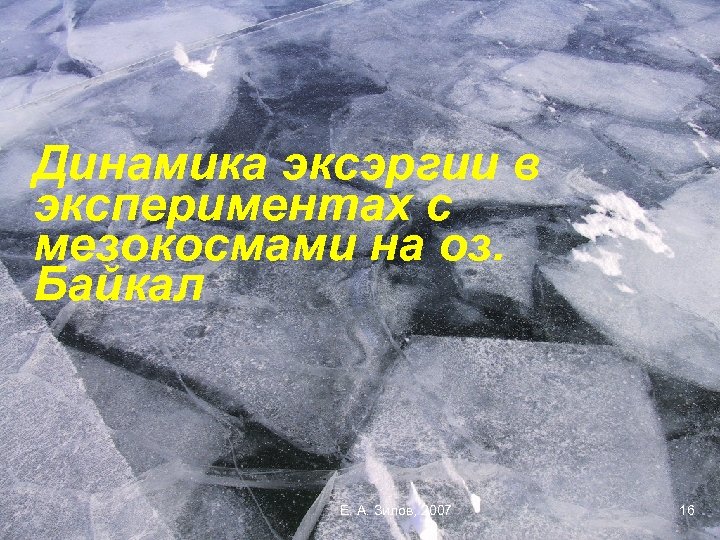 Динамика эксэргии в экспериментах с мезокосмами на оз. Байкал Е. А. Зилов, 2007 16