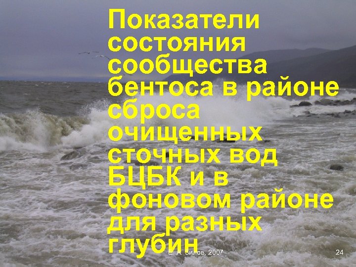 Показатели состояния сообщества бентоса в районе сброса очищенных сточных вод БЦБК и в фоновом