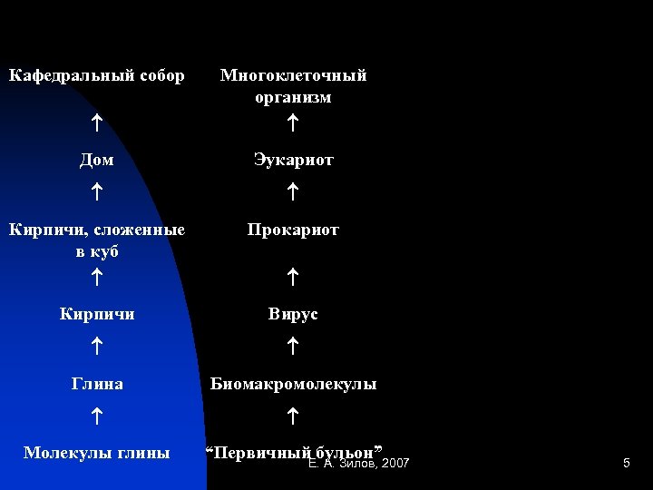 Кафедральный собор Многоклеточный организм Дом Эукариот Кирпичи, сложенные в куб Прокариот Кирпичи Вирус Глина