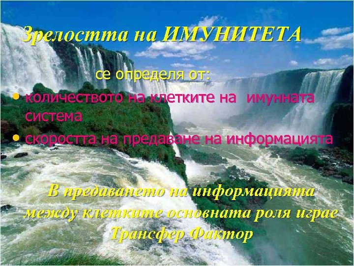 Зрелостта на ИМУНИТЕТА се определя от: • количеството на клетките на имунната система •