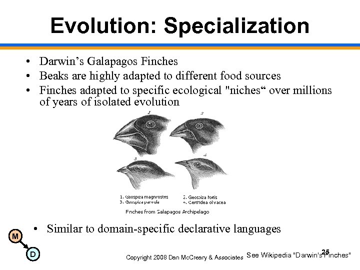 Evolution: Specialization • Darwin’s Galapagos Finches • Beaks are highly adapted to different food