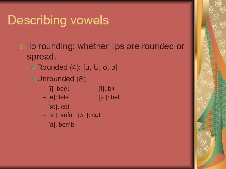 Describing vowels lip rounding: whether lips are rounded or spread. Rounded (4): [u, U,