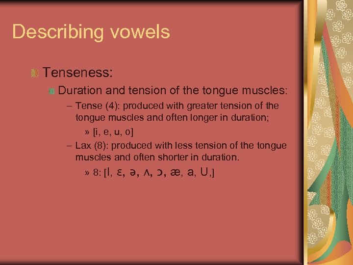 Describing vowels Tenseness: Duration and tension of the tongue muscles: – Tense (4): produced