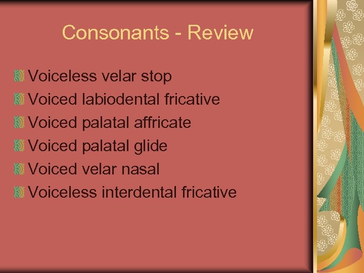 Consonants - Review Voiceless velar stop Voiced labiodental fricative Voiced palatal affricate Voiced palatal