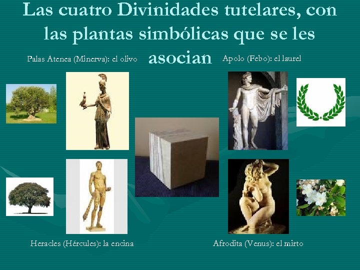 Las cuatro Divinidades tutelares, con las plantas simbólicas que se les Palas Atenea (Minerva):