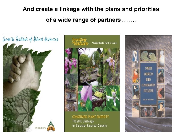 And create a linkage with the plans and priorities of a wide range of